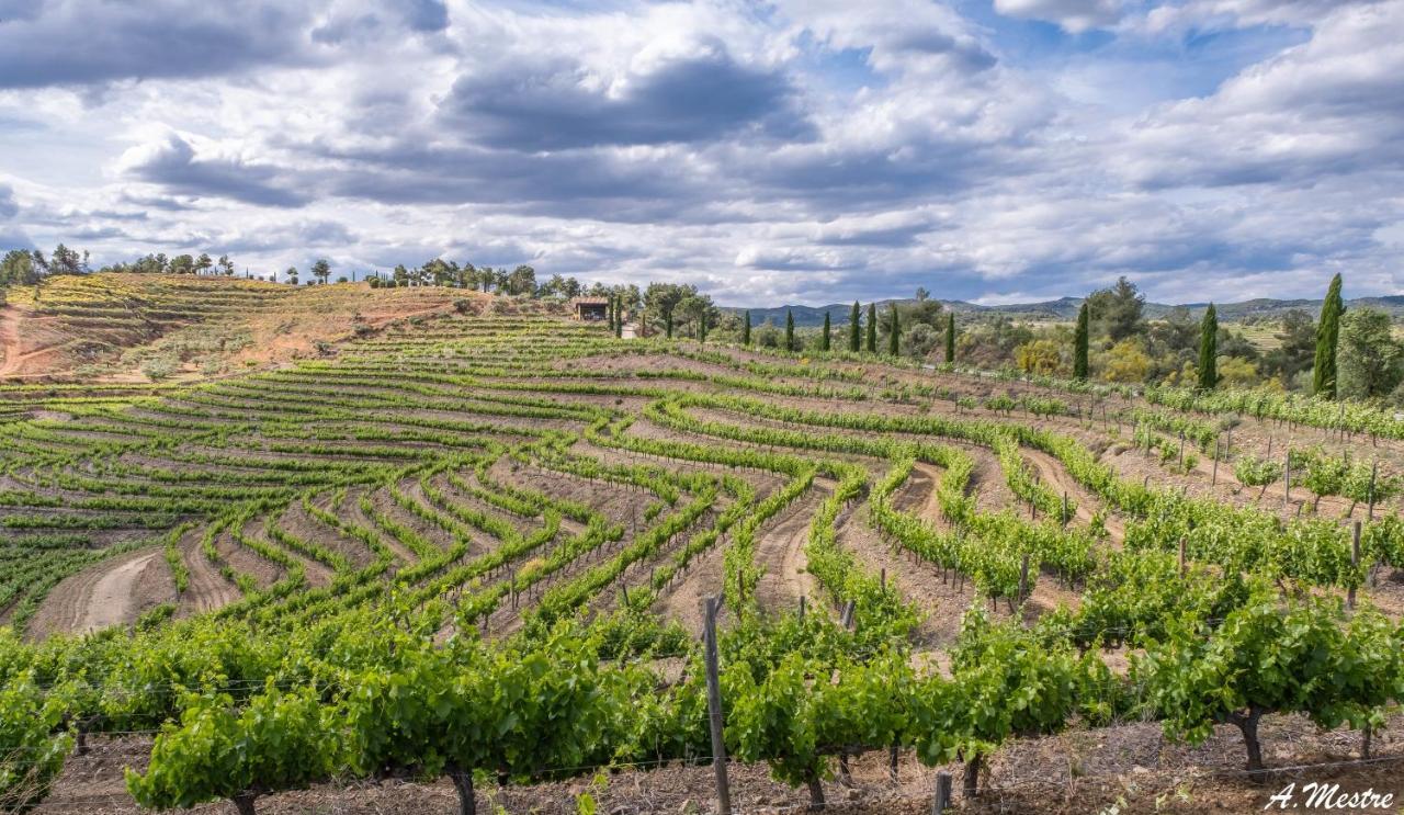 L' Alzina Villa Falset Luaran gambar