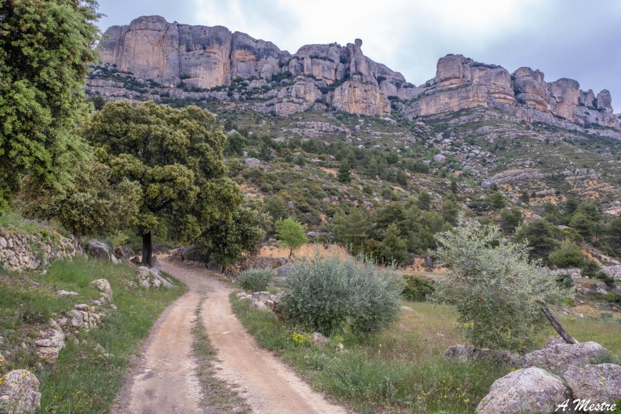 L' Alzina Villa Falset Luaran gambar